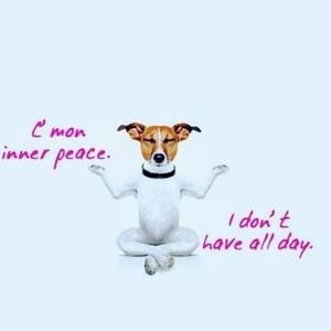 Meet your Posher, Jeannee